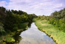 Летний день на Калитве у старой мельницы и брода между Ильинкой и Анновко