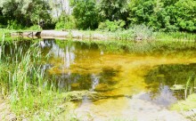 Летний день на Калитве у старой мельницы и брода между Ильинкой и Анновко