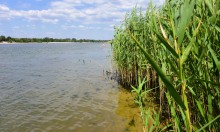 Летний день на Дону