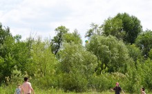 Летний день на Дону