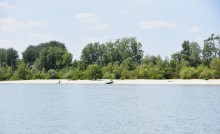 Летний день на Дону