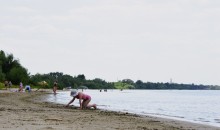 Летний день на Дону