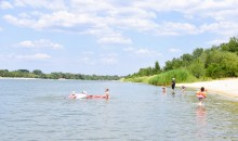 Летний день на Дону