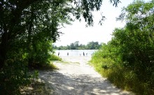 Летний день на Дону