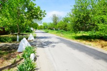 Бои за Ростов-на-Дону в июле 1942 г.