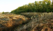 Бои за Ростов-на-Дону в июле 1942 г.