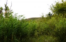 Долина реки Быстрой у хутора Насонтов