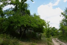 Долина реки Быстрой у хутора Насонтов