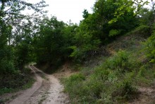 Долина реки Быстрой у хутора Насонтов