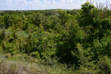 Долина реки Быстрой у хутора Насонтов