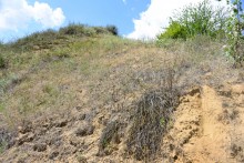 Долина реки Быстрой у хутора Насонтов