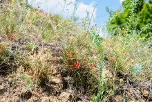 Долина реки Быстрой у хутора Насонтов