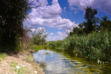 Долина реки Быстрой у хутора Насонтов