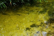 Долина реки Быстрой у хутора Насонтов