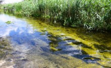 Долина реки Быстрой у хутора Насонтов