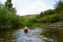 Долина реки Быстрой у хутора Насонтов