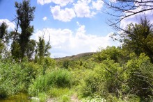 Долина реки Быстрой у хутора Насонтов