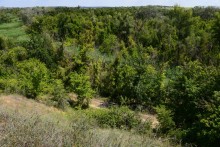 Долина реки Быстрой у хутора Насонтов