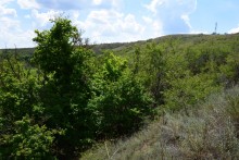 Долина реки Быстрой у хутора Насонтов