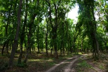 Долина реки Быстрой у хутора Насонтов