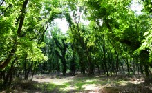 Долина реки Быстрой у хутора Насонтов