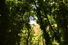 Долина реки Быстрой у хутора Насонтов