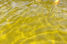 Пляж на Калитве у посёлка Сосны