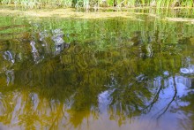 Пляж на Калитве у посёлка Сосны