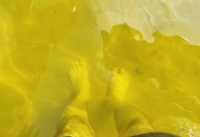 Пляж на Калитве у посёлка Сосны