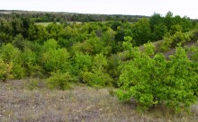 Татарское городище у балки Рубежная на Кундрючьей у станицы Верхнекундрюченской