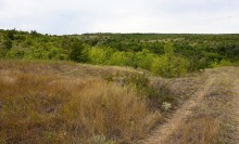 Татарское городище у балки Рубежная на Кундрючьей у станицы Верхнекундрюченской