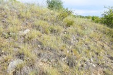 Татарское городище у балки Рубежная на Кундрючьей у станицы Верхнекундрюченской