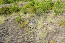 Татарское городище у балки Рубежная на Кундрючьей у станицы Верхнекундрюченской