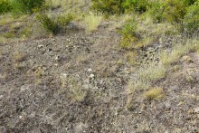 Татарское городище у балки Рубежная на Кундрючьей у станицы Верхнекундрюченской