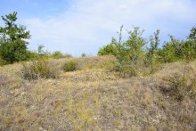 Татарское городище у балки Рубежная на Кундрючьей у станицы Верхнекундрюченской