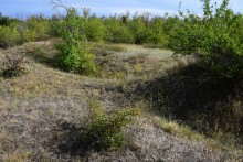 Татарское городище у балки Рубежная на Кундрючьей у станицы Верхнекундрюченской