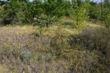 Татарское городище у балки Рубежная на Кундрючьей у станицы Верхнекундрюченской