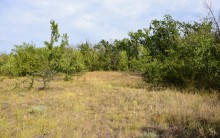 Татарское городище у балки Рубежная на Кундрючьей у станицы Верхнекундрюченской