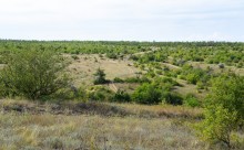 Татарское городище у балки Рубежная на Кундрючьей у станицы Верхнекундрюченской