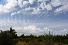 Татарское городище у балки Рубежная на Кундрючьей у станицы Верхнекундрюченской