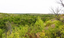 Татарское городище у балки Рубежная на Кундрючьей у станицы Верхнекундрюченской