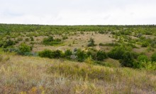 Татарское городище у балки Рубежная на Кундрючьей у станицы Верхнекундрюченской