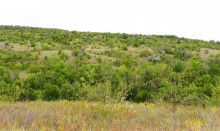 Татарское городище у балки Рубежная на Кундрючьей у станицы Верхнекундрюченской