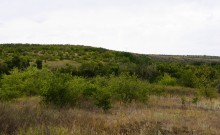 Татарское городище у балки Рубежная на Кундрючьей у станицы Верхнекундрюченской