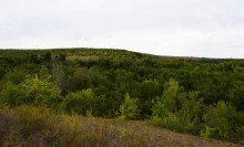 Татарское городище у балки Рубежная на Кундрючьей у станицы Верхнекундрюченской