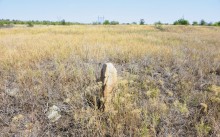 Гора Бык и исчезнувший хутор Быковчик на Северском Донце