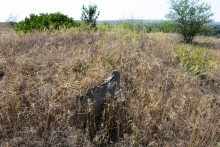 Гора Бык и исчезнувший хутор Быковчик на Северском Донце