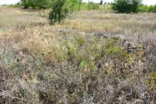 Гора Бык и исчезнувший хутор Быковчик на Северском Донце