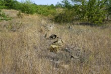 Гора Бык и исчезнувший хутор Быковчик на Северском Донце