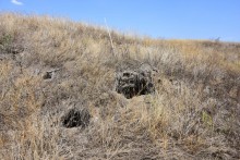 Гора Бык и исчезнувший хутор Быковчик на Северском Донце